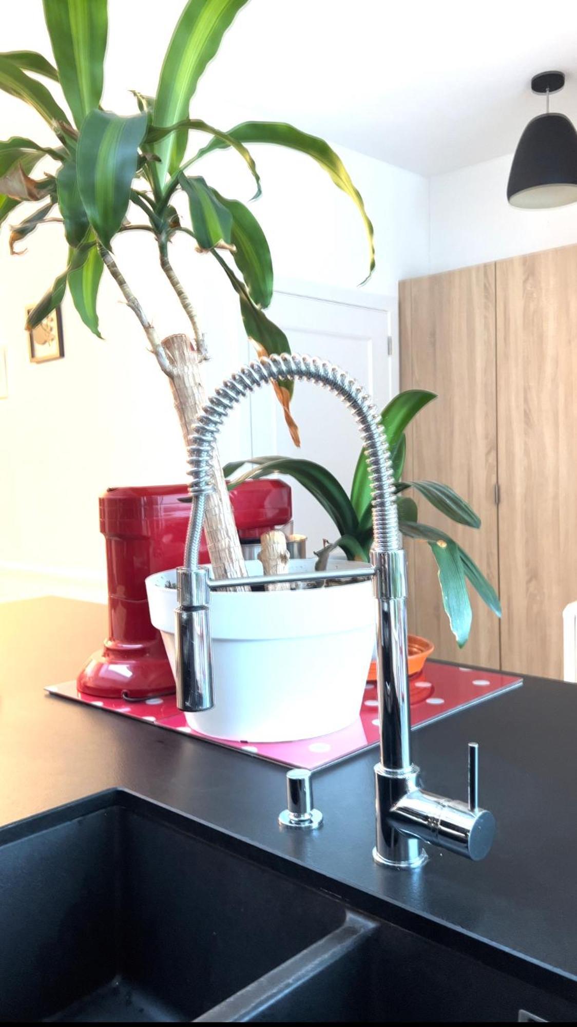Appartement 3 Chambres Centre Vilvoorde Bruxelles Brusselsairport Expo Nato Anvers Wifi Free Parking Eksteriør bilde